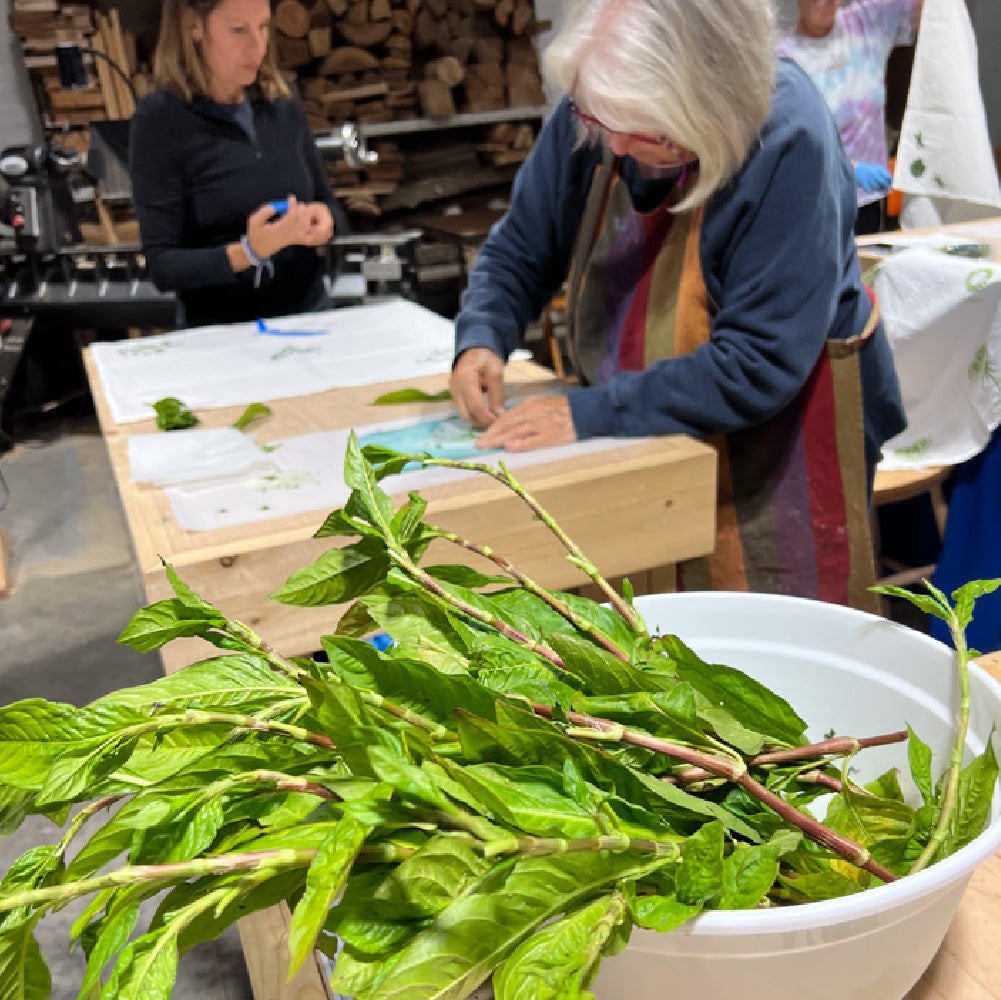 Fresh Leaf Indigo Dyeing Techniques