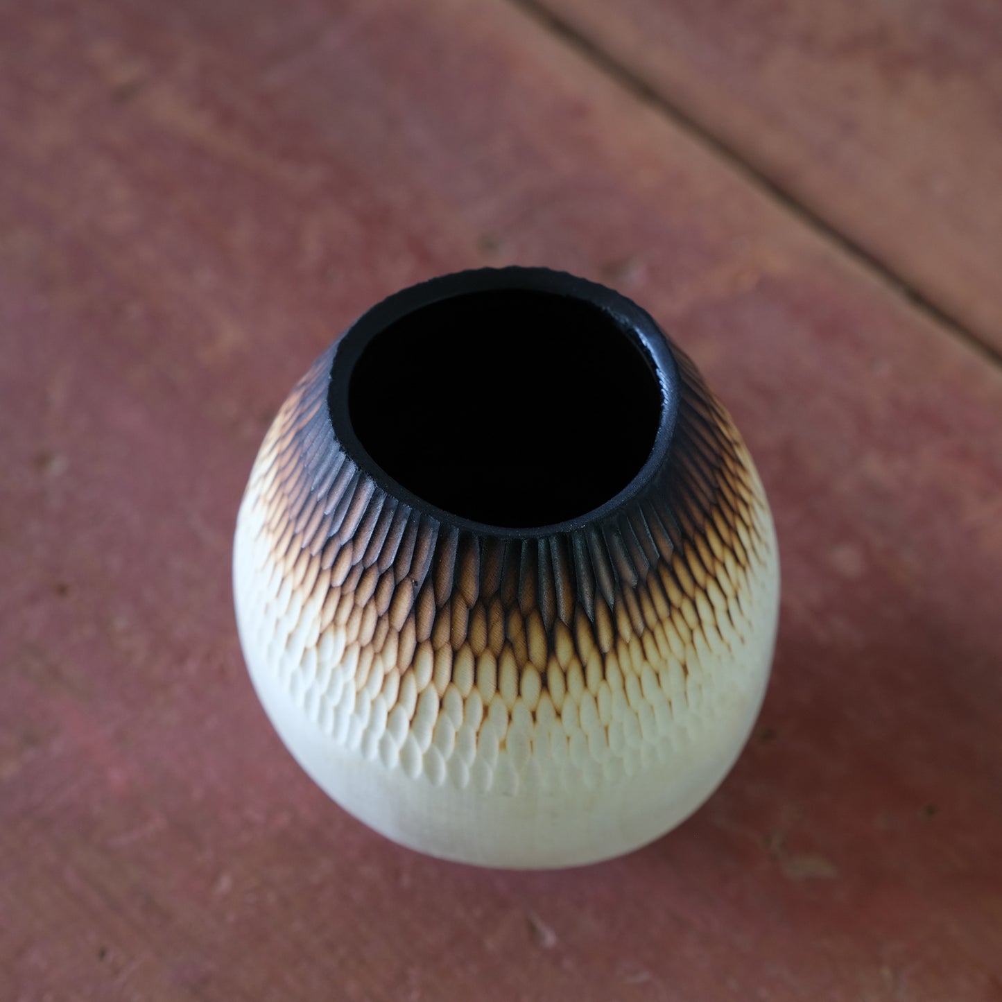 Sea Girt Holly Improv #2