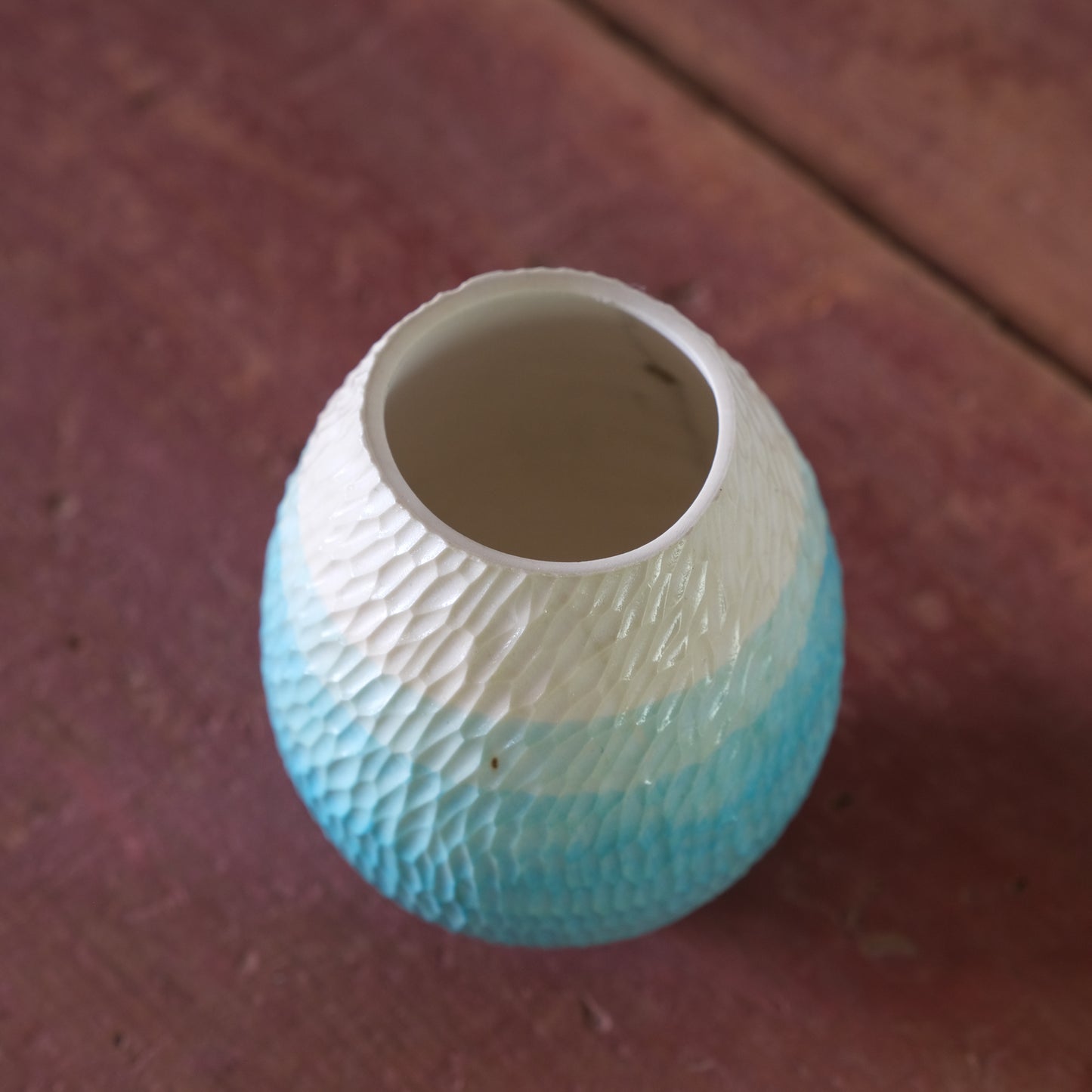 Sea Girt Holly Improv #4