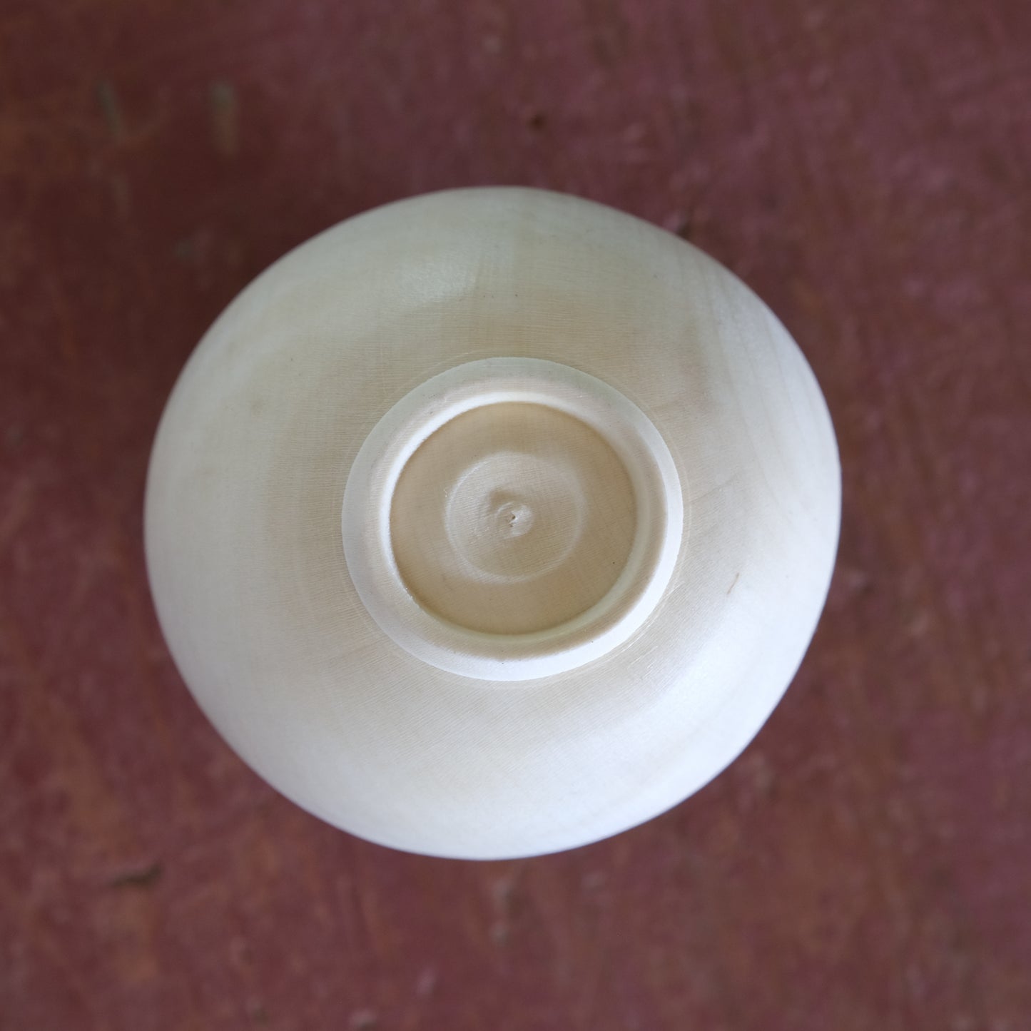 Sea Girt Holly Improv #2