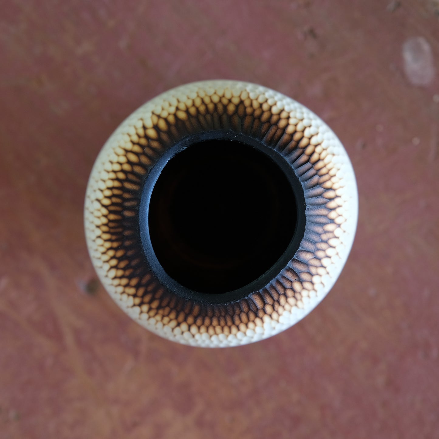 Sea Girt Holly Improv #2