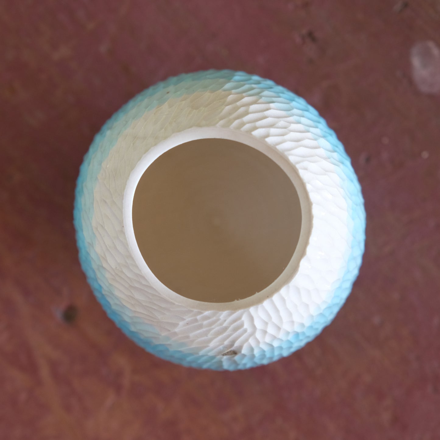 Sea Girt Holly Improv #4