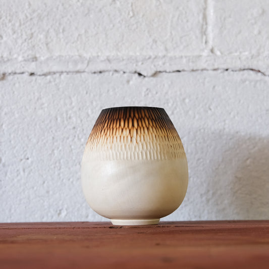 Sea Girt Holly Improv #2