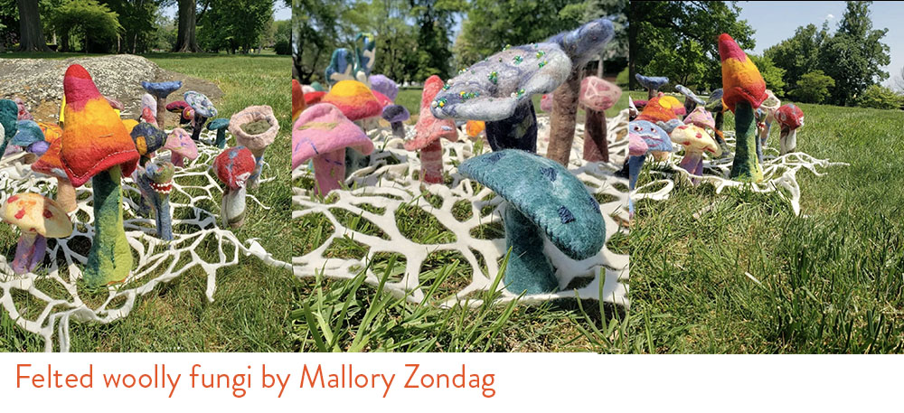 Mallory Zondag Felted Fungi