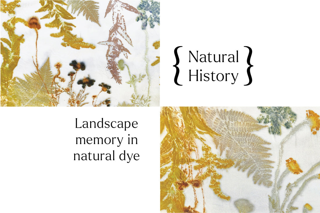 Landscape Memory Natural History - Landscape Memory in Natural Dye – Main Street Studio