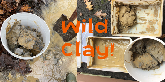 An Expedition in Wild Clay