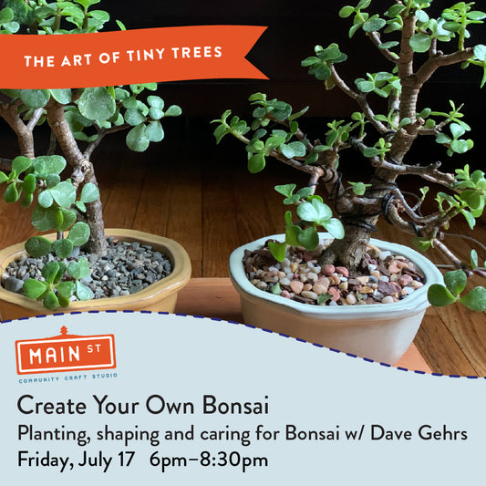 Create Your Own Bonsai