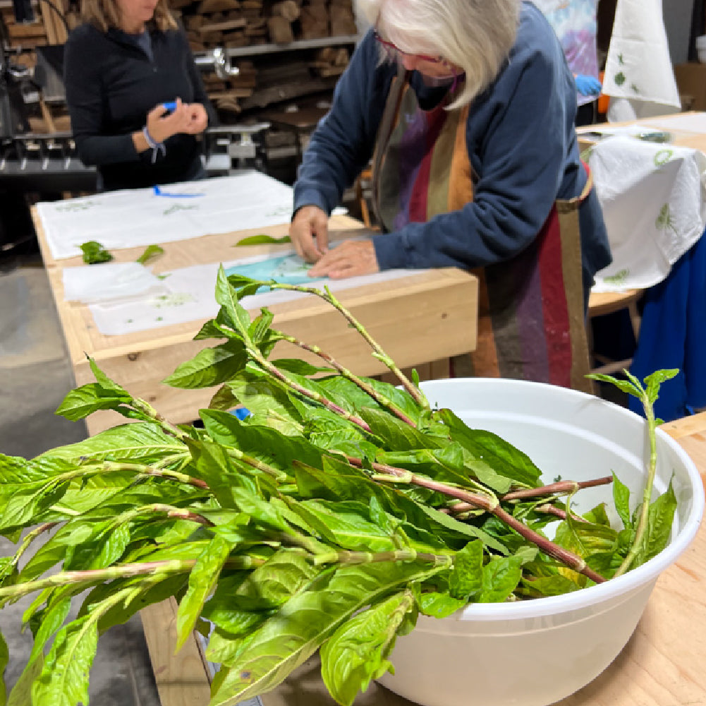Fresh Leaf Indigo - Dyeing Techniques for Silk and Cotton